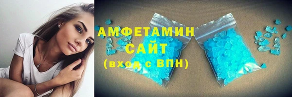 крисы Горняк
