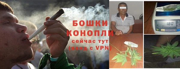 хмурый Горно-Алтайск