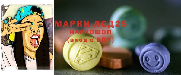 крисы Горняк