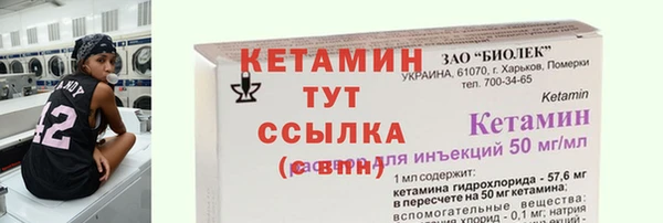 крисы Горняк
