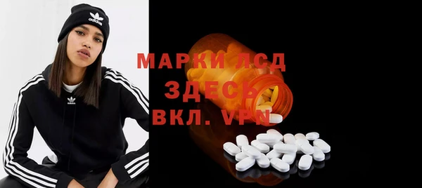 хмурый Горно-Алтайск