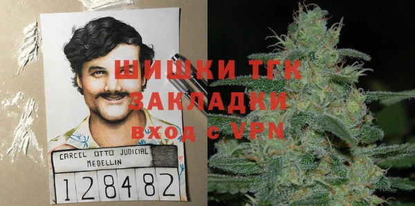 хмурый Горно-Алтайск