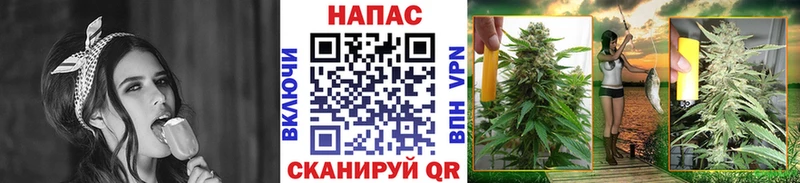 Шишки марихуана конопля  Купить  Кириллов 